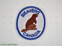 Beavers [CA 13a.x]